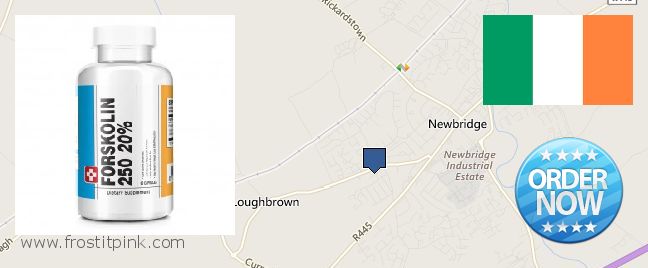 Buy Forskolin Extract online Droichead Nua, Ireland Best Place to Buy Forskolin Extract online Droichead Nua, Ireland