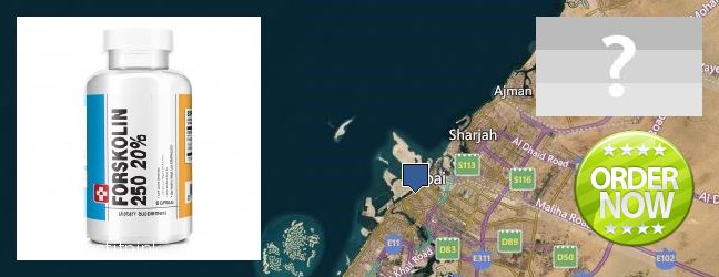 Buy Forskolin Extract online Dubai, UAE