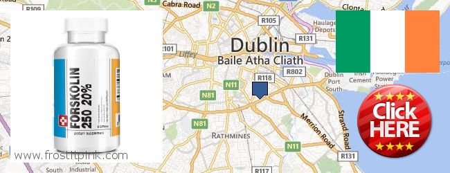 Where to Purchase Forskolin Extract online Dublin, Ireland