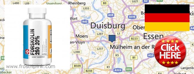 Wo kaufen Forskolin online Duisburg, Germany