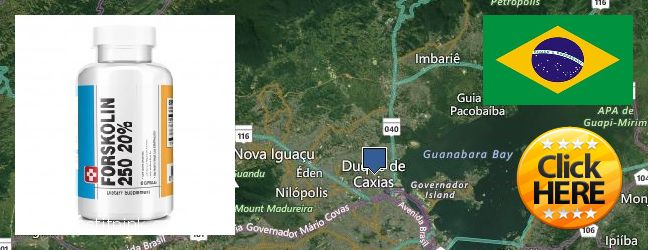 Wo kaufen Forskolin online Duque de Caxias, Brazil