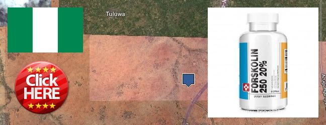 Buy Forskolin Extract online Ebute Ikorodu, Nigeria Where to Buy Forskolin Extract online Ebute Ikorodu, Nigeria