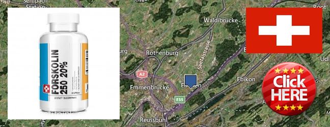 Wo kaufen Forskolin online Emmen, Switzerland