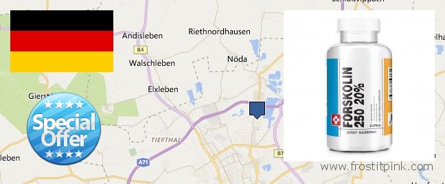 Where to Buy Forskolin Extract online Erfurt, Germany
