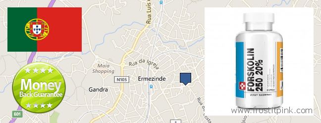 Where to Buy Forskolin Extract online Ermesinde, Portugal