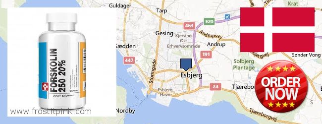 Buy Forskolin Extract online Esbjerg, Denmark