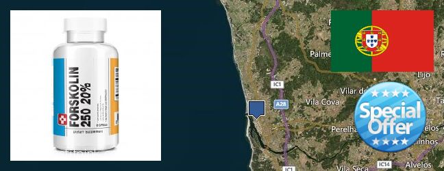 Where to Buy Forskolin Extract online Esposende, Portugal