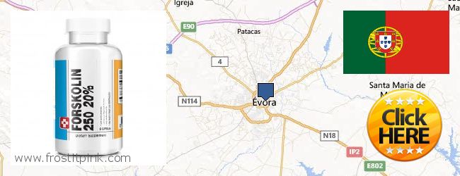 Onde Comprar Forskolin on-line Evora, Portugal
