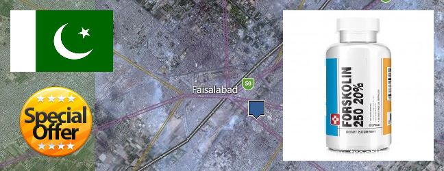 Buy Forskolin Extract online Faisalabad, Pakistan