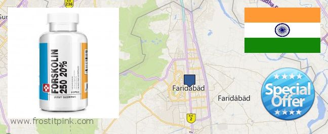 Purchase Forskolin Extract online Faridabad, India
