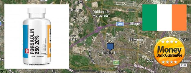 Buy Forskolin Extract online Finglas, Ireland Where to Buy Forskolin Extract online Finglas, Ireland