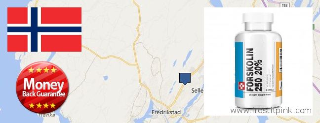 Hvor kjøpe Forskolin online Fredrikstad, Norway