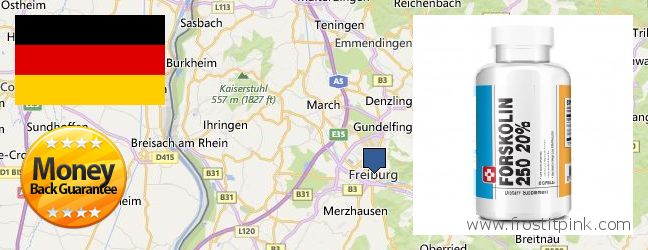 Hvor kan jeg købe Forskolin online Freiburg, Germany