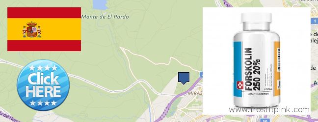 Where to Buy Forskolin Extract online Fuencarral-El Pardo, Spain