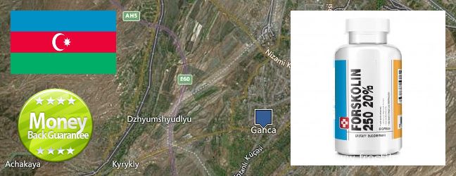 Where to Buy Forskolin Extract online Ganja, Azerbaijan