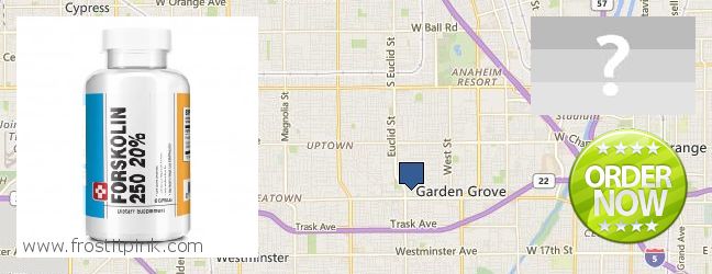 Hvor kjøpe Forskolin online Garden Grove, USA