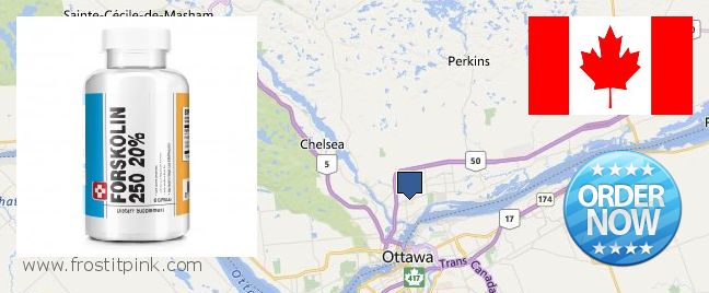 Où Acheter Forskolin en ligne Gatineau, Canada