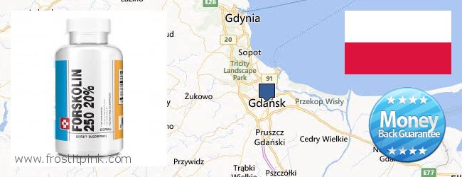 Wo kaufen Forskolin online Gdańsk, Poland