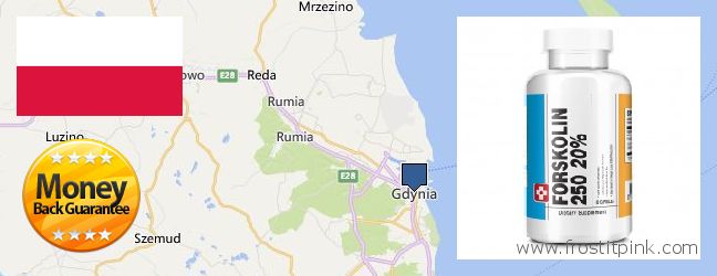 Kde koupit Forskolin on-line Gdynia, Poland