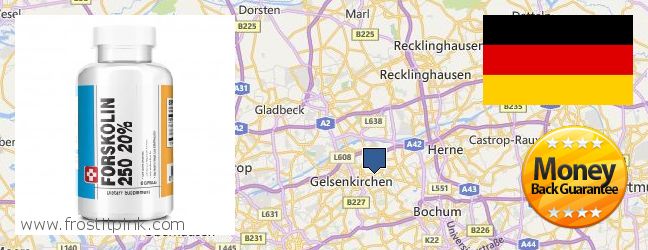 Where to Buy Forskolin Extract online Gelsenkirchen, Germany