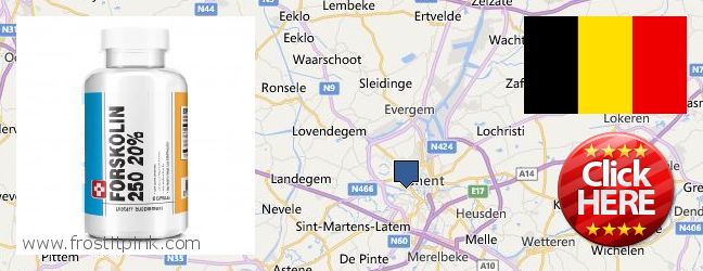 Wo kaufen Forskolin online Gent, Belgium