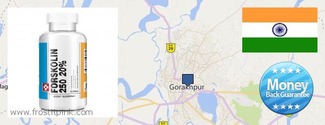 Where to Buy Forskolin Extract online Gorakhpur, India