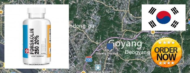 Purchase Forskolin Extract online Goyang-si, South Korea