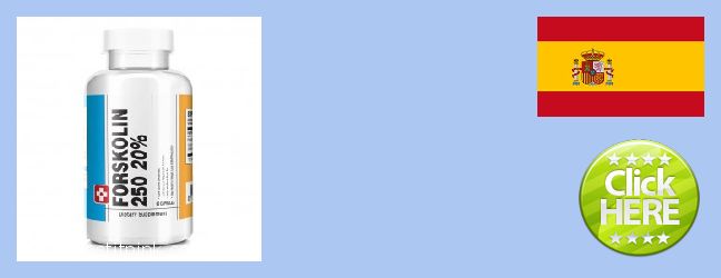 Where to Buy Forskolin Extract online Gracia, Spain