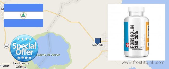 Where Can I Purchase Forskolin Extract online Granada, Nicaragua