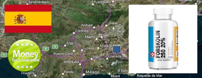 Where to Buy Forskolin Extract online Granada, Spain
