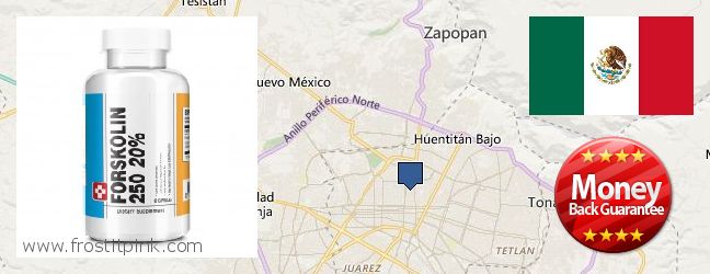 Dónde comprar Forskolin en linea Guadalajara, Mexico
