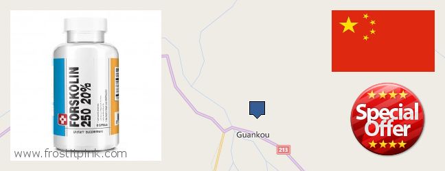 Where to Purchase Forskolin Extract online Guankou, China