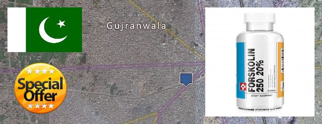 Purchase Forskolin Extract online Gujranwala, Pakistan Where Can I Purchase Forskolin Extract online Gujranwala, Pakistan