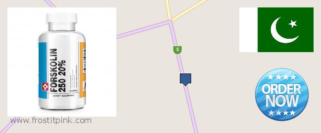 Buy Forskolin Extract online Gujrat, Pakistan Buy Forskolin Extract online Gujrat, Pakistan