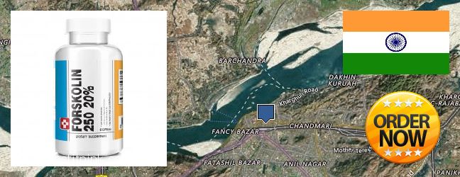 Purchase Forskolin Extract online Guwahati, India Where to Purchase Forskolin Extract online Guwahati, India