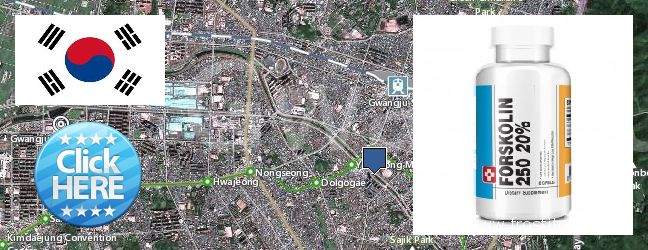 Where to Buy Forskolin Extract online Gwangju, South Korea