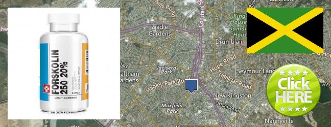 Buy Forskolin Extract online Half Way Tree, Jamaica Purchase Forskolin Extract online Half Way Tree, Jamaica