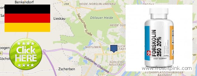 Where to Buy Forskolin Extract online Halle Neustadt, Germany