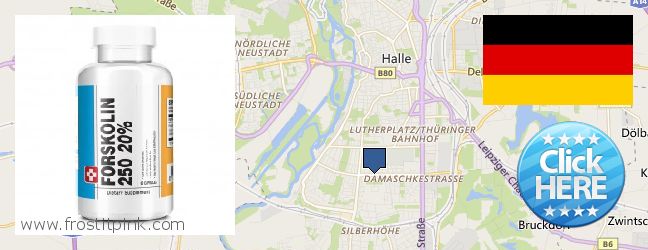 Hvor kan jeg købe Forskolin online Halle (Saale), Germany