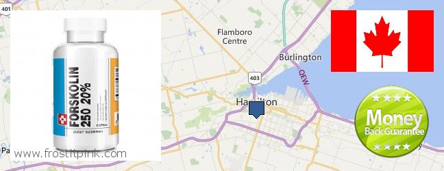 Where to Buy Forskolin Extract online Hamilton, Canada