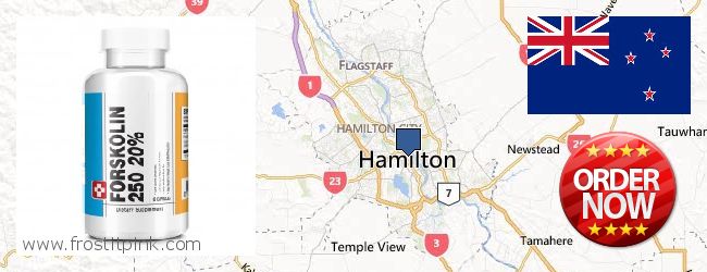 Purchase Forskolin Extract online Hamilton, New Zealand