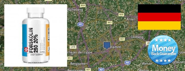 Hvor kan jeg købe Forskolin online Hamm, Germany