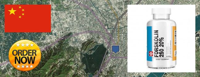 Where to Buy Forskolin Extract online Hangzhou, China