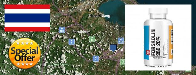 Buy Forskolin Extract online Hat Yai, Thailand Where to Buy Forskolin Extract online Hat Yai, Thailand