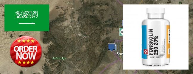 Where to Buy Forskolin Extract online Hayil, Saudi Arabia