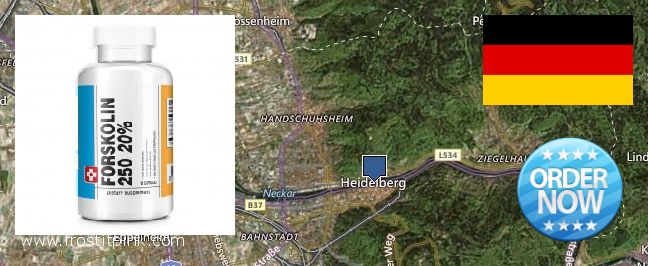 Hvor kan jeg købe Forskolin online Heidelberg, Germany