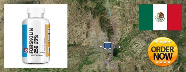 Buy Forskolin Extract online Hermosillo, Mexico