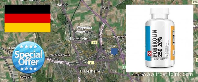 Wo kaufen Forskolin online Hildesheim, Germany