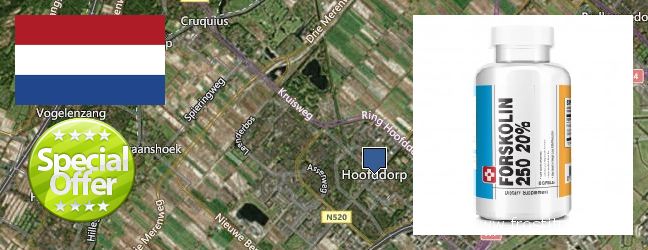 Purchase Forskolin Extract online Hoofddorp, Netherlands