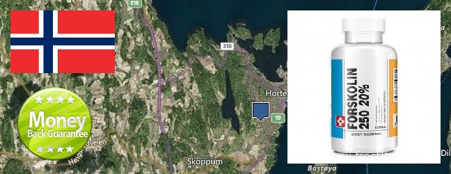 Where to Buy Forskolin Extract online Horten, Norway